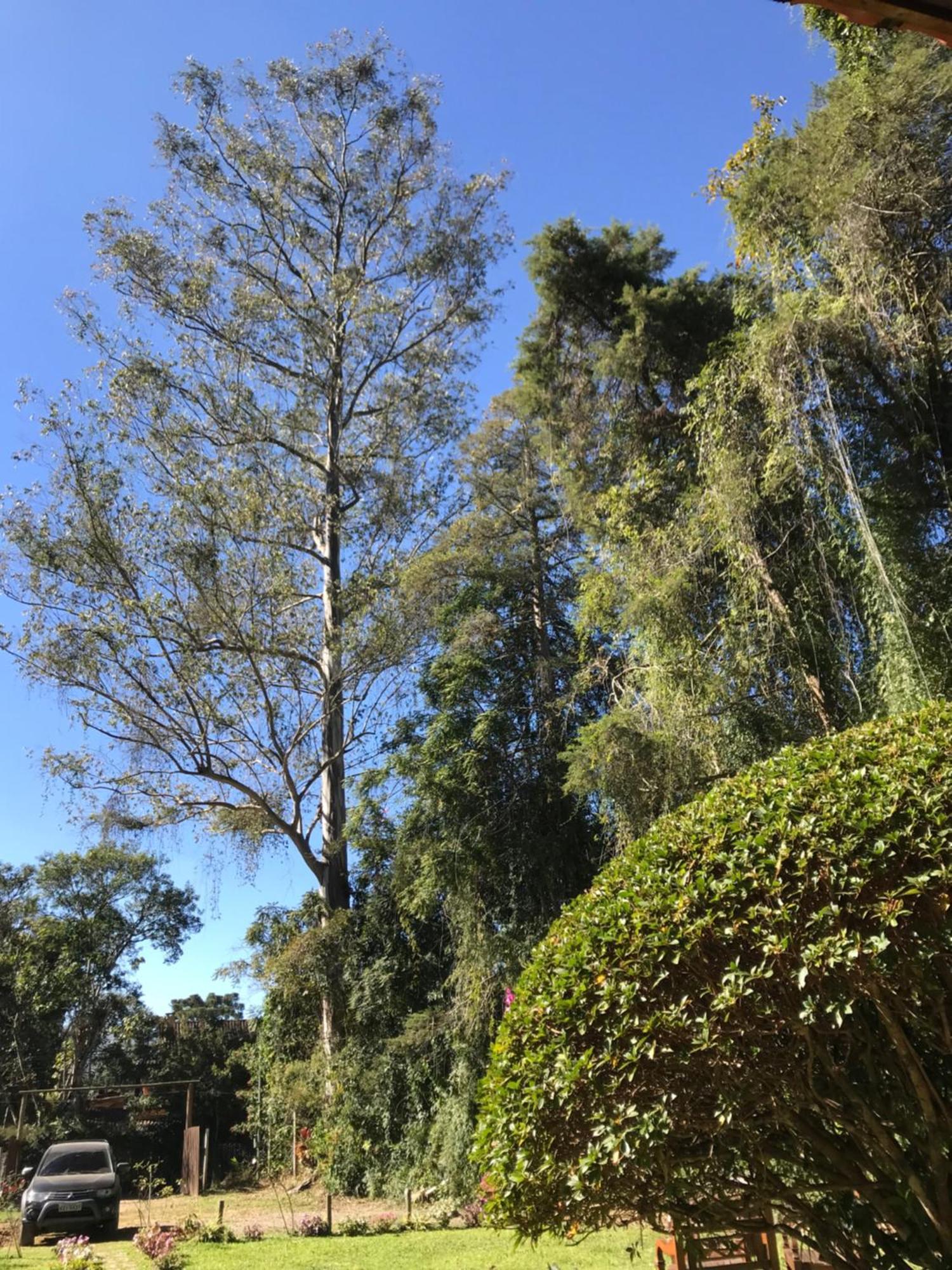 فيلا Chale Rosa Flor Núcleo Mauá المظهر الخارجي الصورة