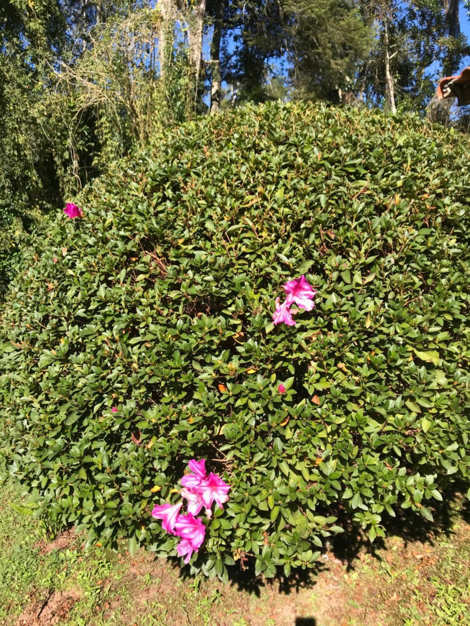 فيلا Chale Rosa Flor Núcleo Mauá المظهر الخارجي الصورة