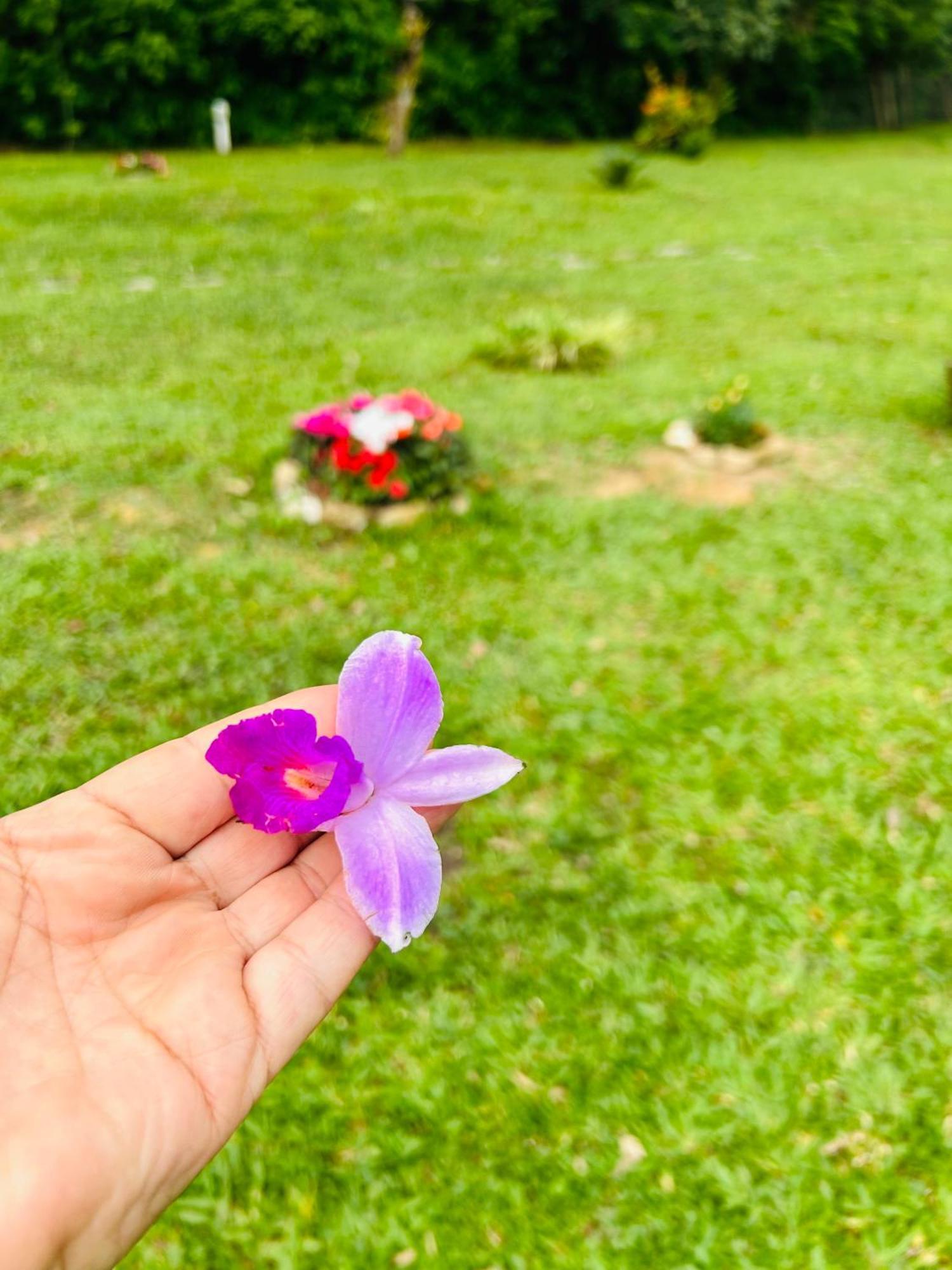 فيلا Chale Rosa Flor Núcleo Mauá المظهر الخارجي الصورة