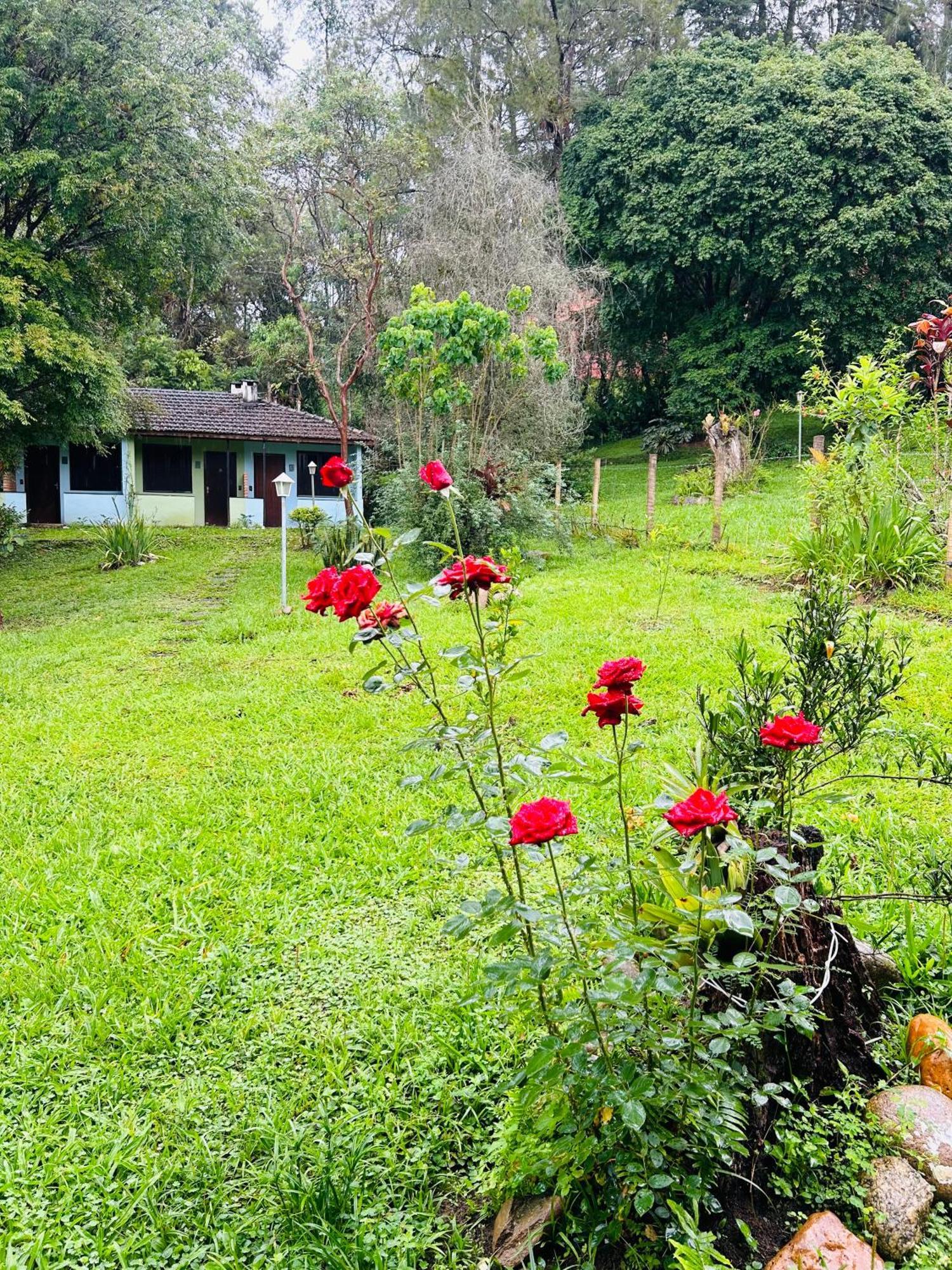 فيلا Chale Rosa Flor Núcleo Mauá المظهر الخارجي الصورة