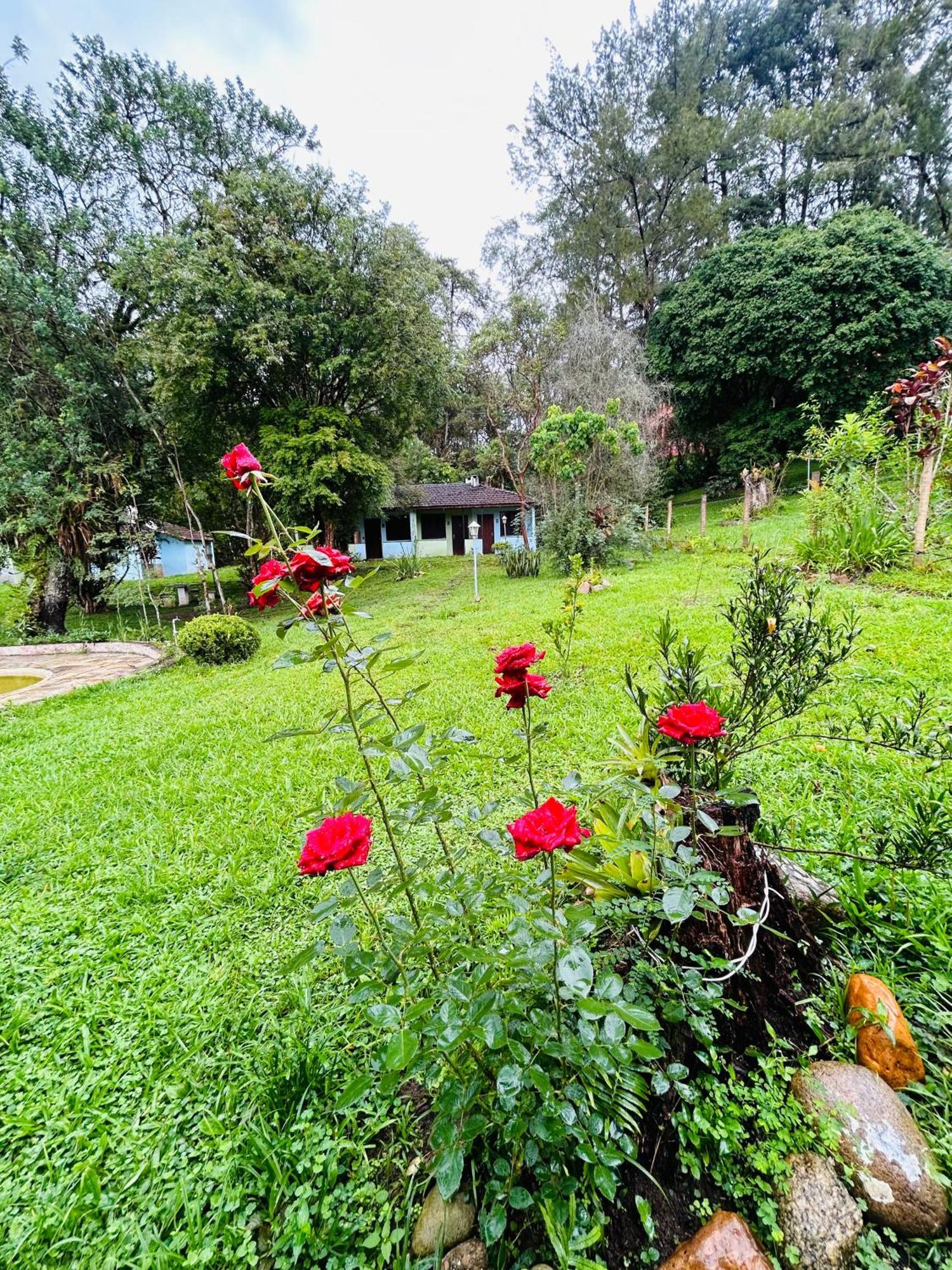 فيلا Chale Rosa Flor Núcleo Mauá المظهر الخارجي الصورة